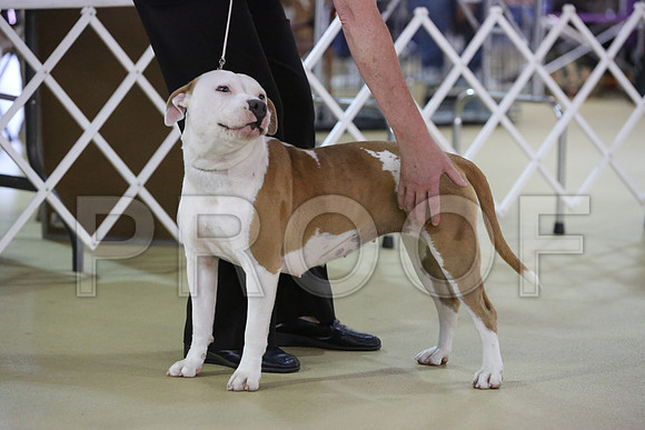 APBT-9958-HR
