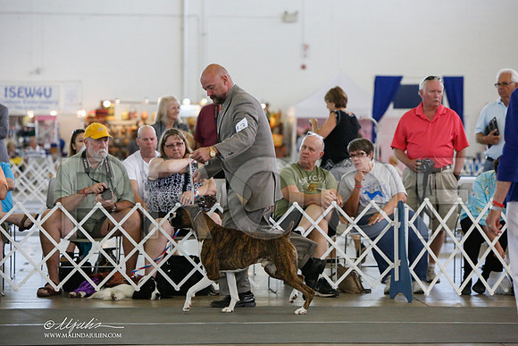 _JJ_1765-DallasJul2014-HR3