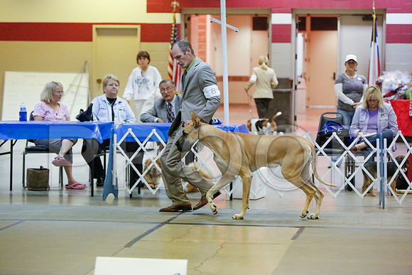 _JN_5322-AmarilloSept2014-HR3