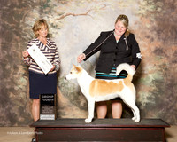 Canann Dog #6 Sun G4 Davila Rosette and L Clark and C Zelbst and L Morales Judge Peggy Beisel McIlwaine