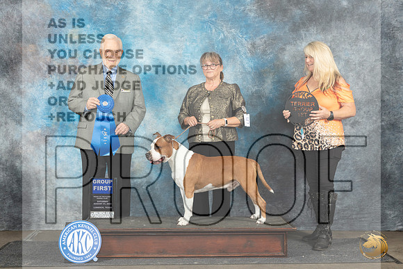 American Staffordshire Terrier #5 Sat G1 Judge Gerard Penta__JP_3778e_Lubbock_2024_HR3