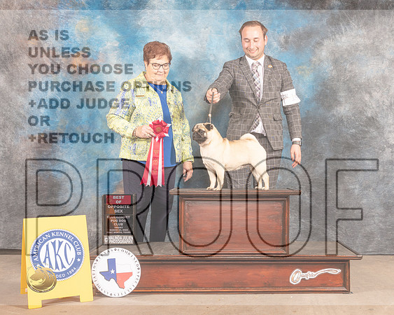 Pug #14 Fri BOS Judge Pam Peat-MMJ_7165-FW2022-HR3