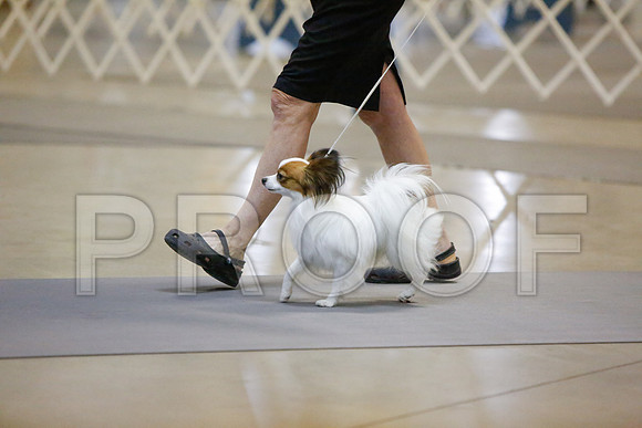 _JJ_1743-AmarilloSept2014-HR3
