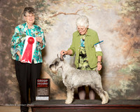 Standard Schauzer #5 Fri G2 Crist Kathlene and David Crist Agent Brenda Lee Combs Judge Doris Cozart