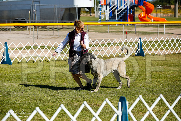 _JJ_9810-AlamogordoOct2014-HR3
