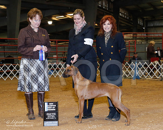 _RH_8734-2-GlenRoseJan2015-HR3