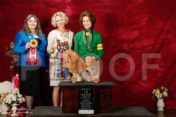 _ST_3029-2-BeltonJan2015IABCA-HR3