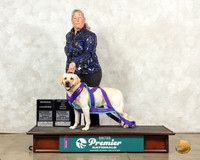 Labrador Retriever #216 Sun RCh Judge Jeanne Heger