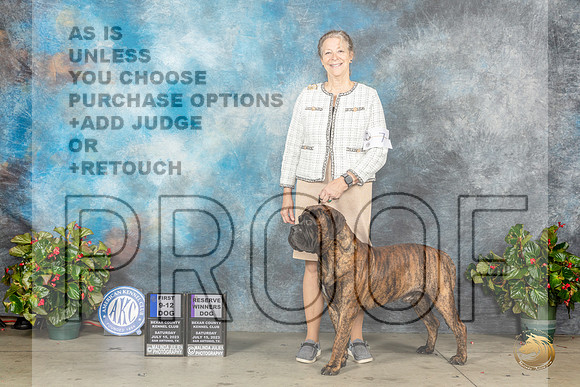 Bullmastiff #7 Sat 9121st RW Judge Dr Antonio MolinaMJP_8646_SA2023_HR3