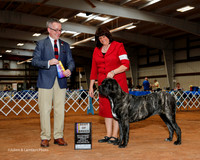 Mastiff #8 sun BOB Slone Elise Judge Jim Owens
