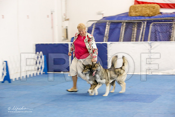 _M3_1659-AddisonHuskyMar2015-HR3