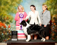 Border Collie Sat S2 BIS Alt Karon Corn