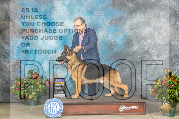 German Shepherd Dog #11 Thu BOB Judge Dr Michael WoodsMJP_7109_SA2023_HR3
