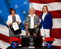 #5 Thurs 4th 9-12 Puppy Dog Sweeps Williams Janice and Anne Wylie and May Keeling Judge Lauri Loisel