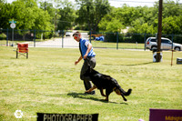 Intermediate Futurity Bitches Fri Ring