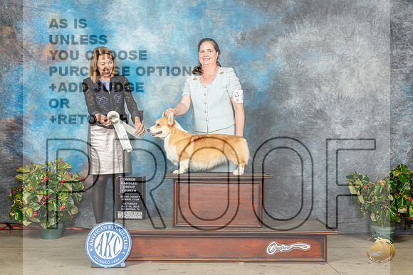 Pembroke Welsh Corgi #26 Sat OHG4 Judge Lee WhittierMJP_9432_SA2023_HR3