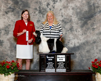 Cocker Spaniel Parti #14 Sat SD Maj Hall Barbara Judge Kathleen Egeland Brock
