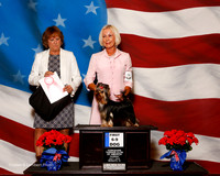 #63 Thurs 1st 6-9 Dog Sweeps Deamer Jennifer and Anna Stringer Judge Lauri Loisel
