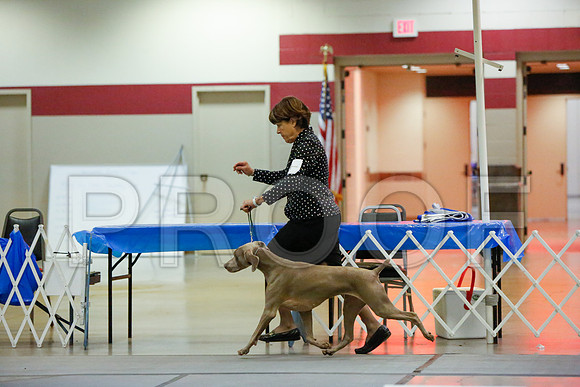 _JN_4555-AmarilloSept2014-HR3