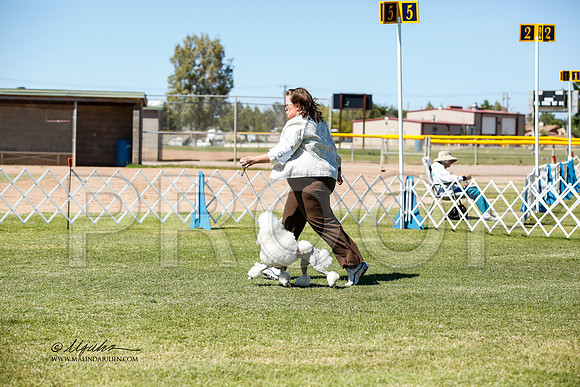 _JN_0987-AlamogordoOct2014-HR3