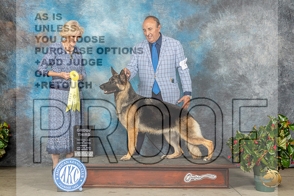 German Shepherd Dog #14 Fri G3 Judge Patti Widick NealeMJP_8407_SA2023_HR3