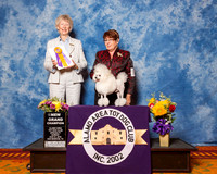 Poodles Toy #19 Sun NG Burrow Jessie & Jane & Diana Burrow Judge Mrs Sharon Newcomb
