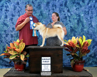 Sniba Inu #540 Sat S2 Group 1 Sammantha Sillett Hutto Sep 2013