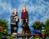 Doberman Pinscher #99 Sun Rally nov Ingram Kathleen Judge ronnie Bizer