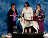 #55 Sat WD Lisa Halpain Angie Luna Theresa M Galle Robert Chaffin Judge Sandy Weaver Carman