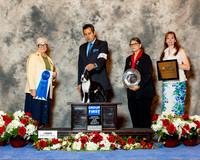 Boston Terrier #9 Sun G1 Saberton Sharon Agent Jorge Olivera Judge Murrel Purkhiser