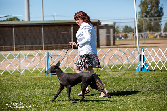 _JJ_8159-AlamogordoOct2014-HR3