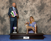 Italian Greyhound #18 Wed Maj WB Keneda Rev T Scott Angela Judge Dr Gary L Sparschu