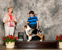 Australian Shepherd #8 Sat NC BOB Thodes Angela and Terry Velnosky and Hope McQueen Judge Karen Hynek