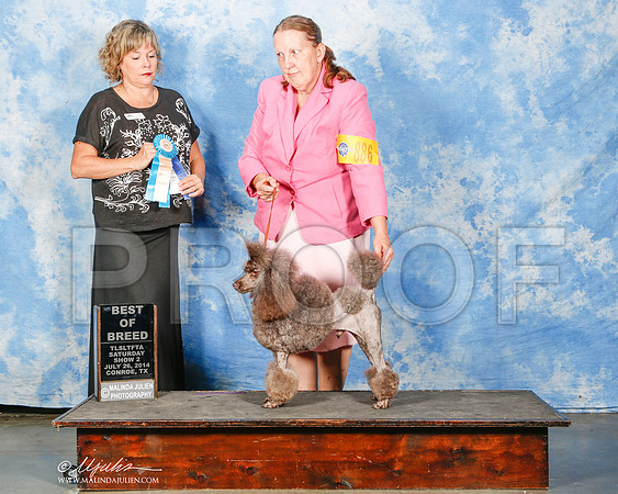 _ST_9926-2-CnroeJul2014-HR3