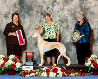 Saluki #6 Sun G2 Ackerman Lyndell Agent Emma Marshall Judge Nikki Riggsbee
