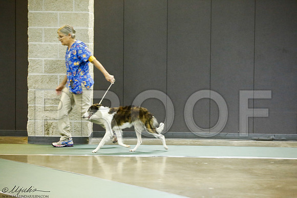 _J3L6982-BeltSep2014-HR