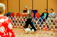 Papillons Sweepstakes Sat