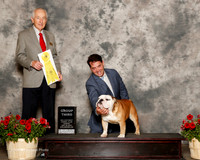 Bulldog #7 Sun G3 Doyle Renee and Steven Agent Perry Payson Judge Roger Hartinger