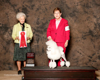 Poodle Miniature #6 sat G2 Joann Neal Judge Paula Hartinger
