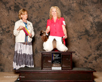 Cocker Spaniel Parti Color #6 Sat BOV Ellis Vanita and Jessica Legath and Phillip Ellis Judge Peggy Beisel McIlwaine