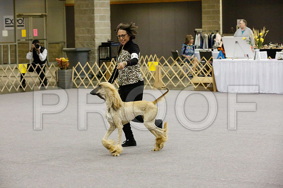 _JJ_8127-AfgBeltonOct2014-HR3