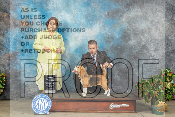 Beagle 15 #8 G3 Judge Nikki RiggsbeeMJP_8371_SA2023_HR3