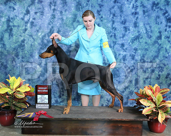 Dobe-1343-IABCAFWSpt13-HR