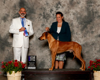 Rhodesian Ridgeback #5 Sat Maj WD Bonsteel Debbie And Jennifer Taylor Cousar Judge Kenneth Levison