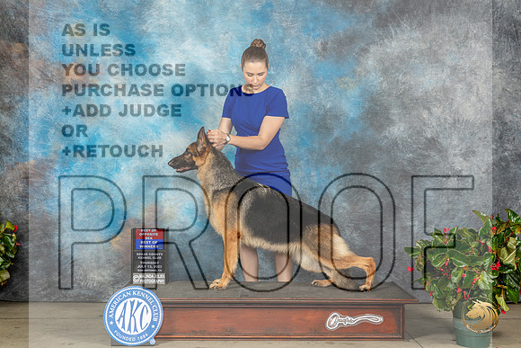 German Shepherd Dog #22 Thurs WBBOWBOS Judge Dr Michael Woods rMJP_7783_SA2023_HR3