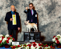 French Bulldog #39 Sat G3 Nancy Shaw Agent Larry Cornelius PHA Judge Robert Shreve