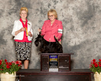 Scottish Terrier #6 Sun BOB Vanravensway Anita Judge Nancy Smith Hafner