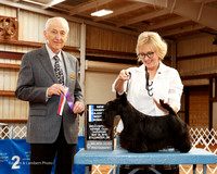 Scottish Terrier #6 Sat NC Maj BOW BOS Vanravensway Anita Judge Roger Hartinger