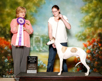 Whippet Sun Alt BIS Magan Cox