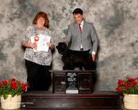 Cocker Spaniel Black #20 Sat BOS Anderson Elizabeth Joplin Agent Perry Payson Judge Joann Stamm